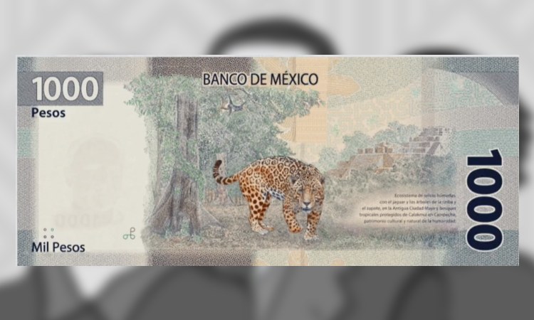 Conoce El Nuevo Billete De Mil Pesos Mexicanos Segundo A Segundo Noticias De Chihuahua 7352