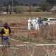 Encuentran el noveno cuerpo de mujer en Sudáfrica en dos meses