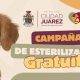 Esterilizarán gratis a perros y gatos en Lomas de Poleo el fin de semana
