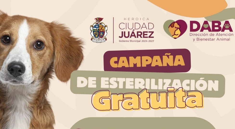 Esterilizarán gratis a perros y gatos en Lomas de Poleo el fin de semana