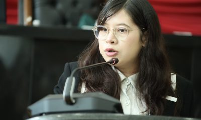 Diputada Jael Argüelles solicita frenar dictamen sobre redes sociales para menores