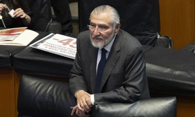 Senado aprueba Ley de Bienestar Animal con multas y sanciones severas