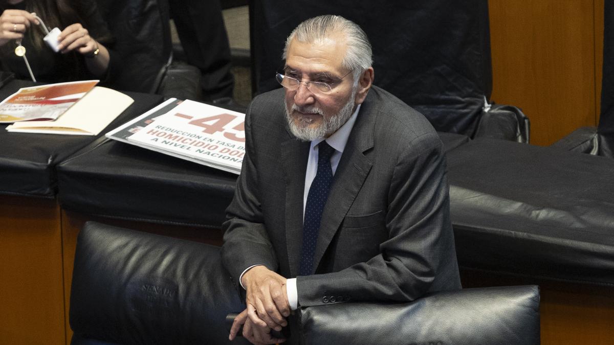 Senado aprueba Ley de Bienestar Animal con multas y sanciones severas