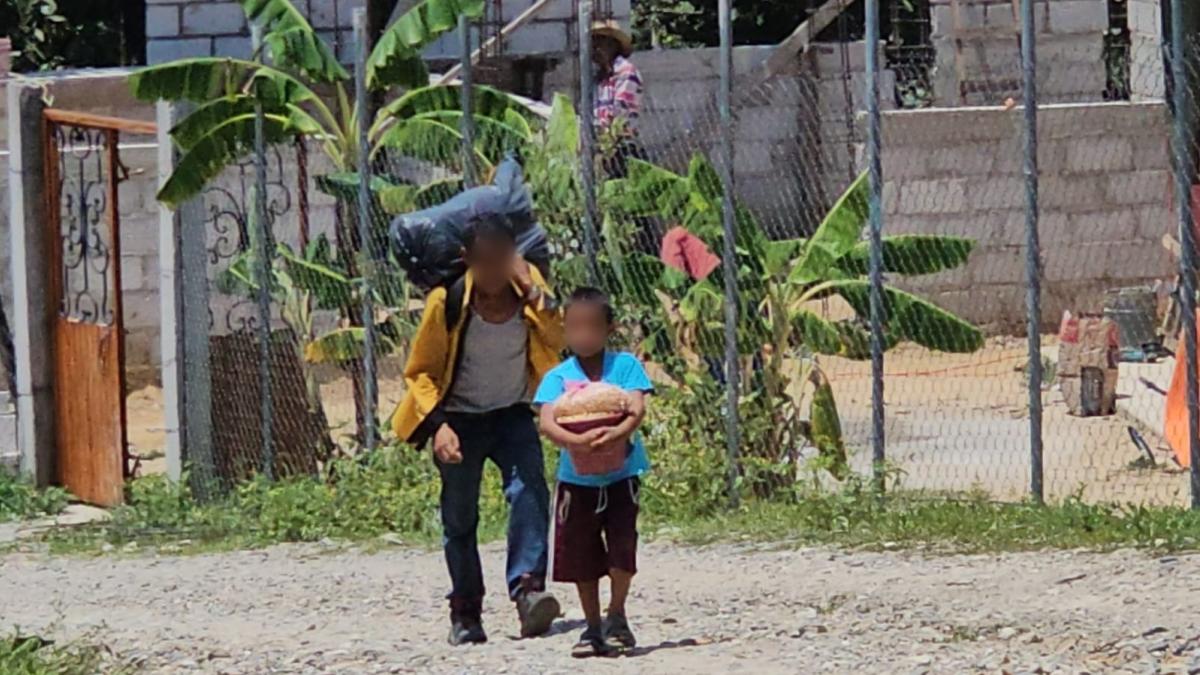Desplazamiento interno por violencia en México afecta 662 municipios