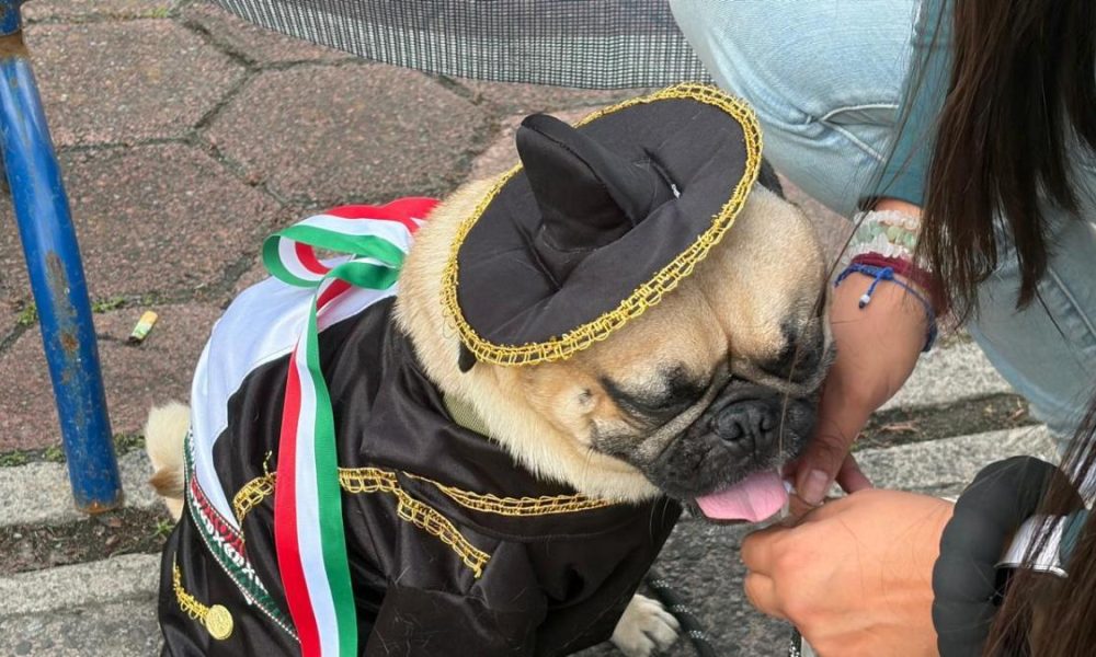 Celebración del 216 aniversario de la Independencia en la BJ