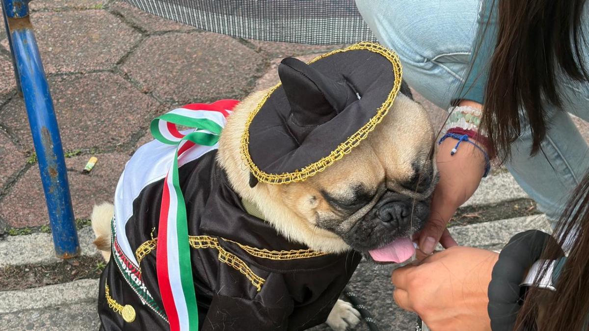 Celebración del 216 aniversario de la Independencia en la BJ