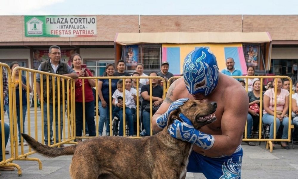 Un perro callejero se convierte en estrella de lucha libre en Ixtapaluca