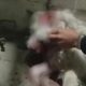Perrita herida por explosivo durante festejos patrios lucha por su vida