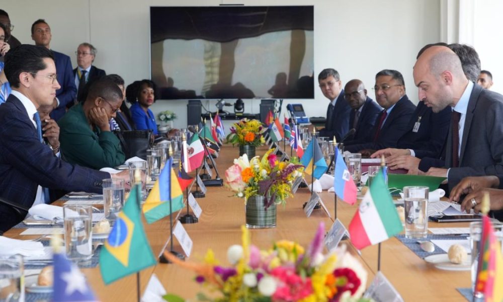 México impulsa veto en ONU por atrocidades masivas