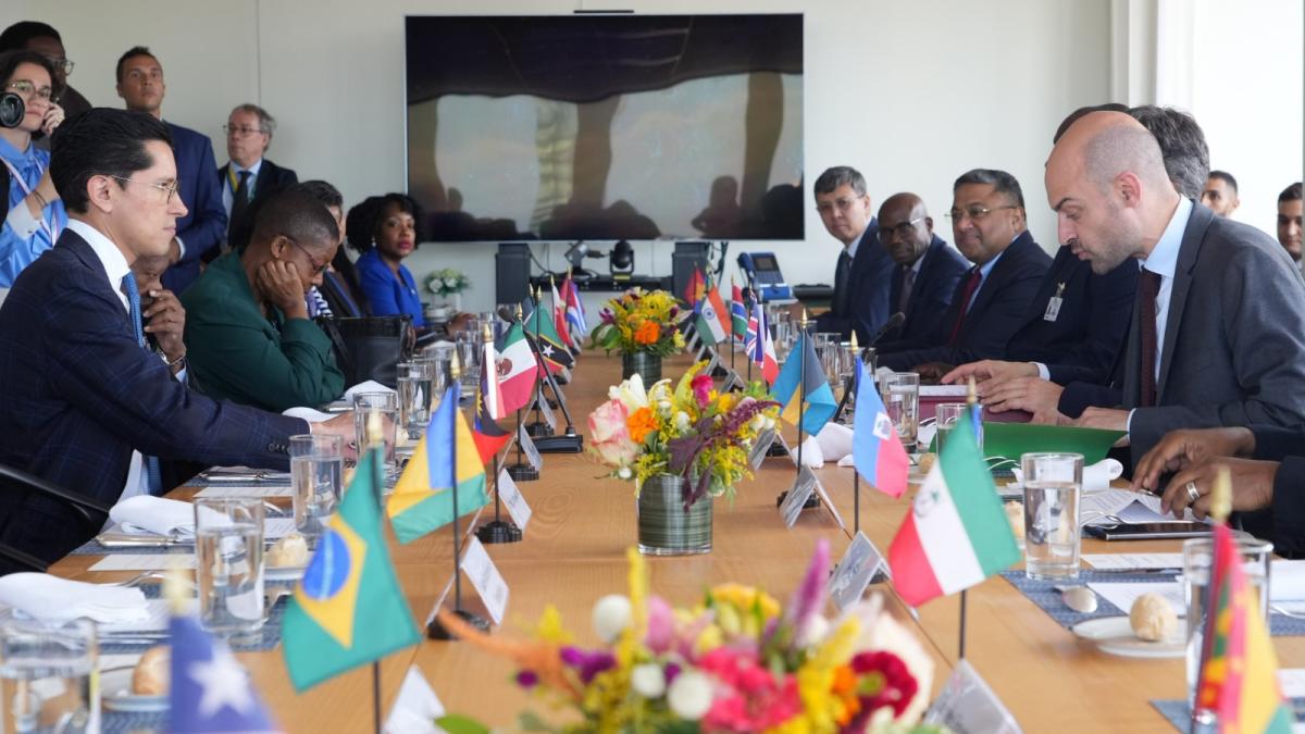 México impulsa veto en ONU por atrocidades masivas