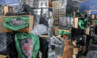 Interceptan 2.4 millones de cigarros apócrifos en el AICM