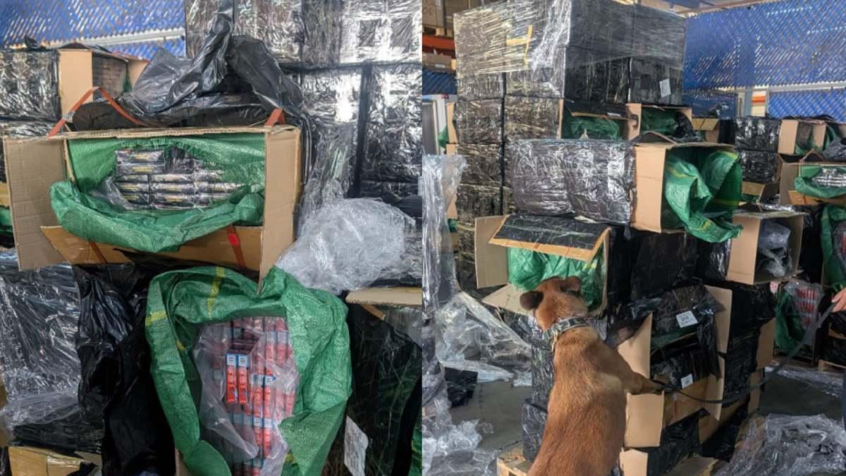 Interceptan 2.4 millones de cigarros apócrifos en el AICM
