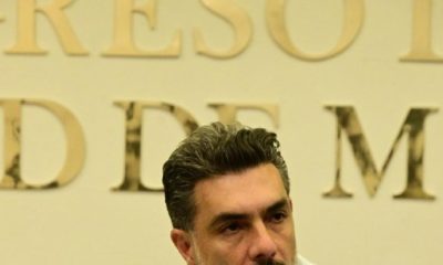 Prohibición de vitrinas para perros y gatos en CDMX
