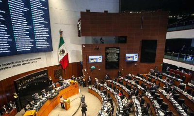 Senadores critican declaraciones de Trump en pleno del Senado