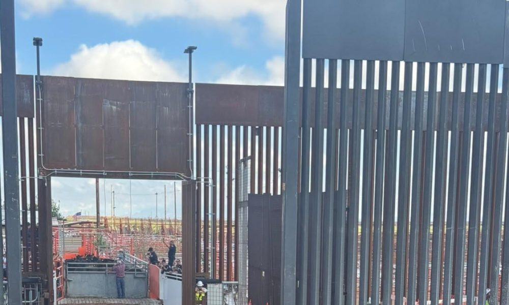 Reinicia Chihuahua exportación de ganado tras cierre fronterizo