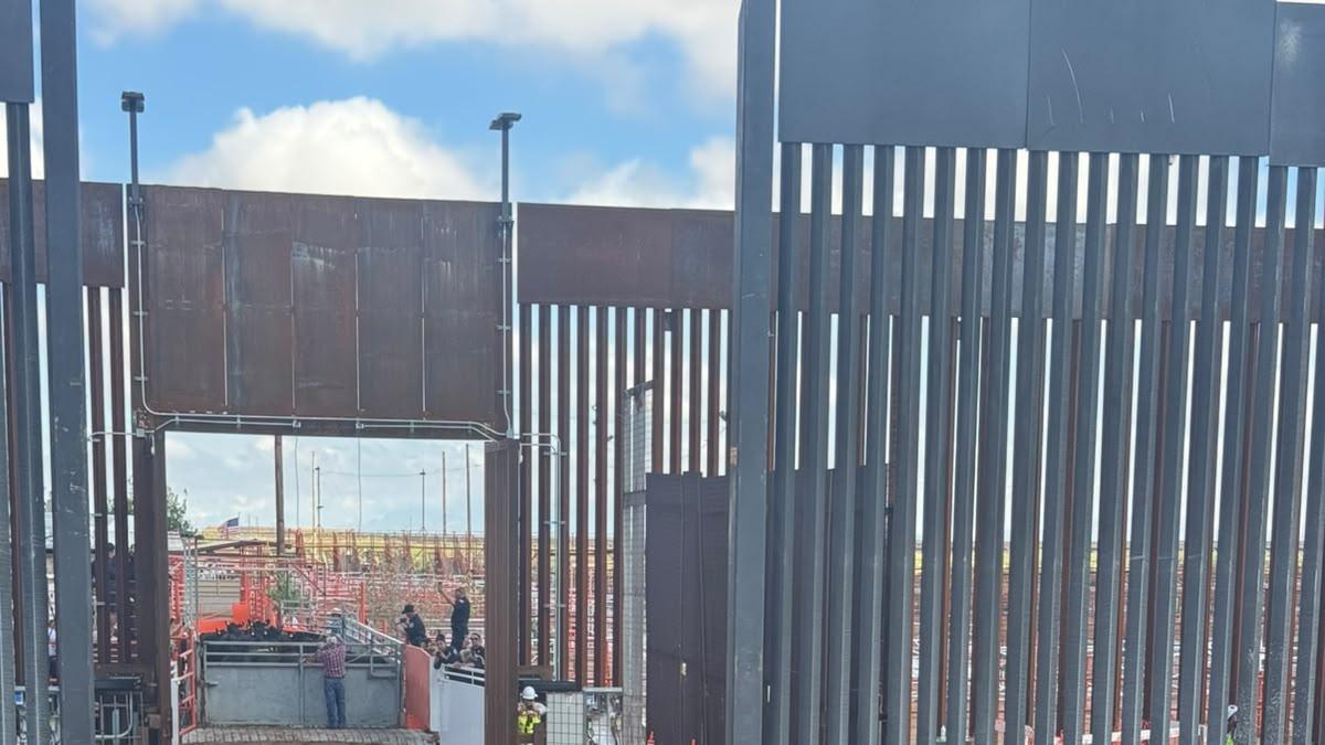 Reinicia Chihuahua exportación de ganado tras cierre fronterizo