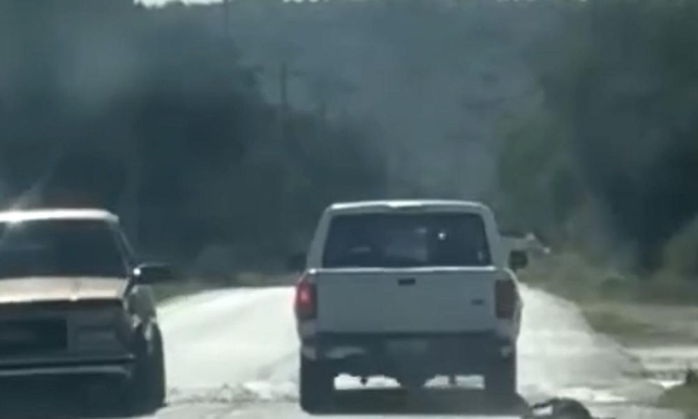 Indignación por muerte de perro arrastrado en Hidalgo