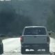 Indignación por muerte de perro arrastrado en Hidalgo