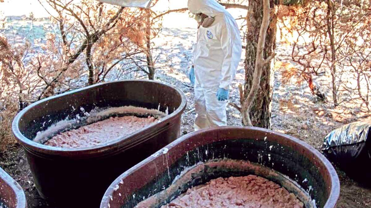 Cárteles mexicanos instalan laboratorios de metanfetamina en África