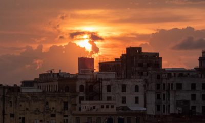 Grupo de Harvard propone amnistía y transición en Cuba ante crisis insostenible