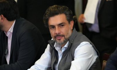Busca Partido Verde garantizar recursos para bienestar animal en alcaldías