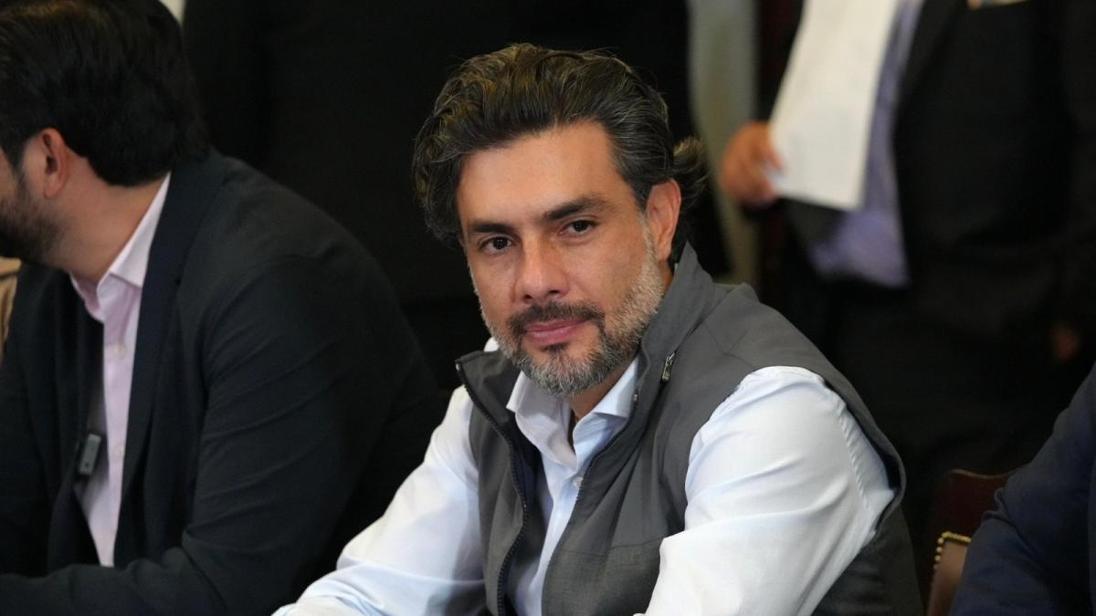 Busca Partido Verde garantizar recursos para bienestar animal en alcaldías