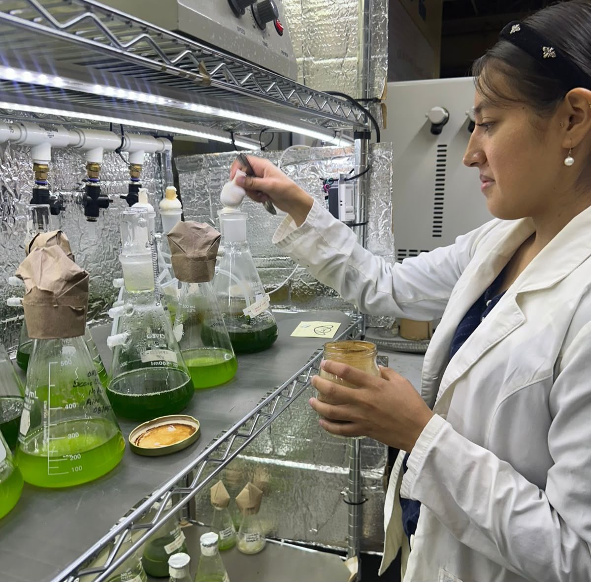 Desarrollo de biofertilizantes a partir de residuos de sotol en Chihuahua