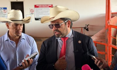 Ganaderos chihuahuenses recibirán hasta 2,300 dólares por becerro en EU