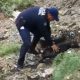 Rescatan a perro arrastrado por las lluvias