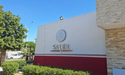 Reunión de Maru Campos con SADER aborda agua, sanidad y comercialización