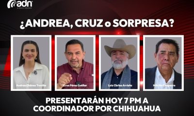 Morena anunciará coordinación estatal en Chihuahua este lunes