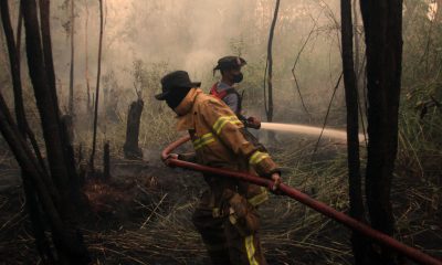 El Niño se convierte en el más fuerte registrado antes de su pico