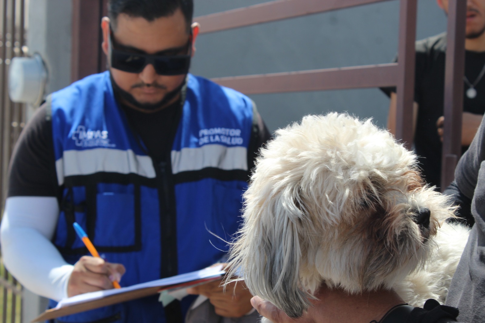 Municipio de Chihuahua lleva programa de prevención de rickettsia a colonias