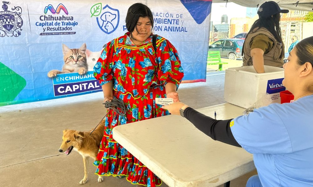 Gobierno Municipal ofrece 946 servicios gratuitos para mascotas en Vistas Cerro Grande
