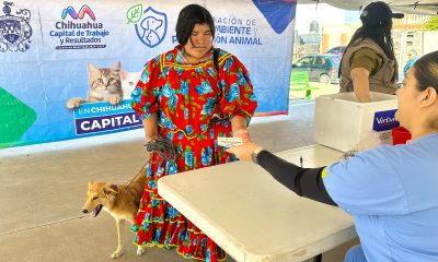 Gobierno Municipal ofrece 946 servicios gratuitos para mascotas en Vistas Cerro Grande