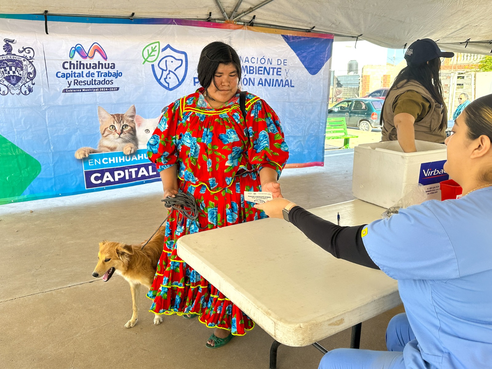 Gobierno Municipal ofrece 946 servicios gratuitos para mascotas en Vistas Cerro Grande