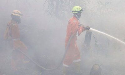 Más de 170,000 casos respiratorios registrados en Indonesia por humo