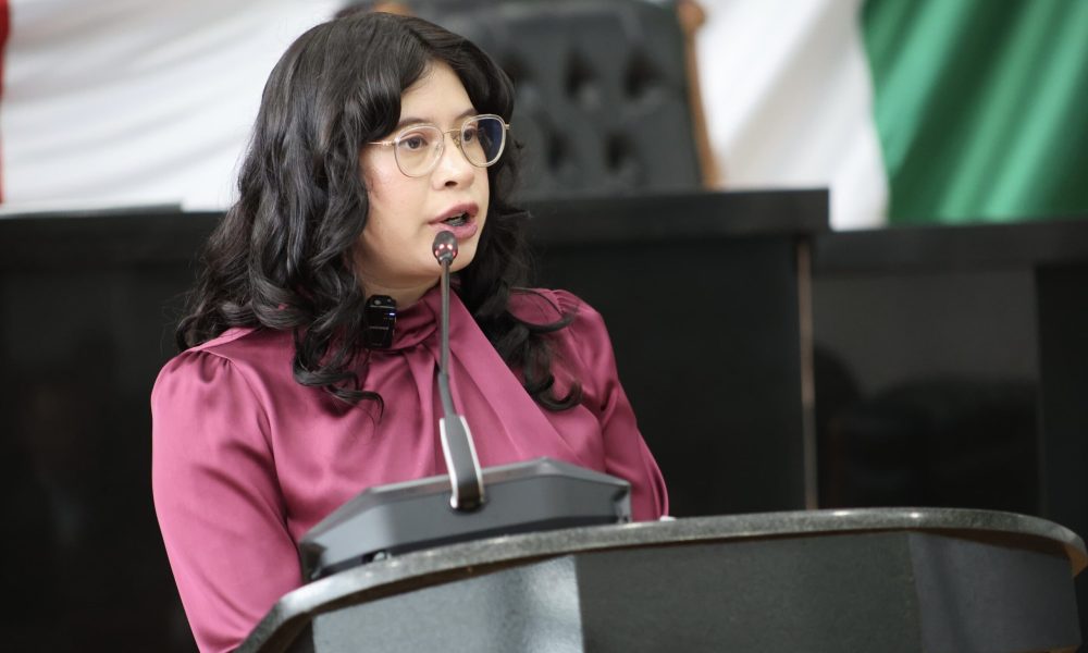 Diputada de Morena critica discurso del PAN sobre reforma electoral