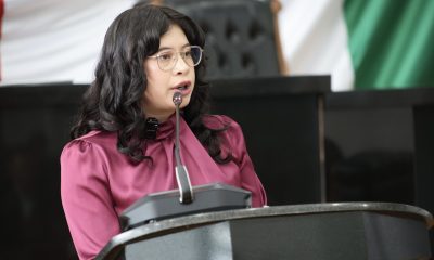 Diputada de Morena critica discurso del PAN sobre reforma electoral