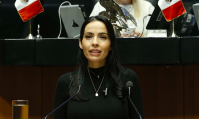 Senadora Laura Esquivel propone cadena perpetua para abusadores sexuales de menores
