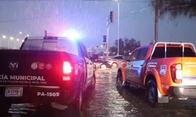 Lluvias en Chihuahua causan 50 vehículos varados y 15 árboles caídos