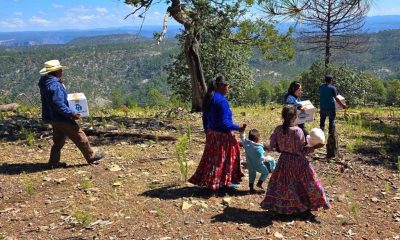 NutriChihuahua lleva apoyos alimentarios a comunidades de la Sierra Tarahumara