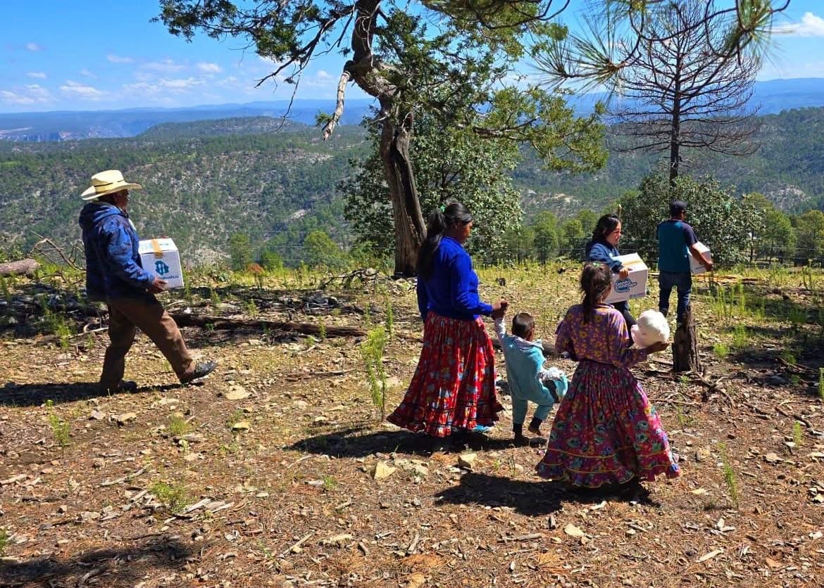 NutriChihuahua lleva apoyos alimentarios a comunidades de la Sierra Tarahumara