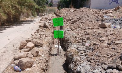 Desarrollo Urbano atiende 131 reportes ambientales y de obra en Chihuahua