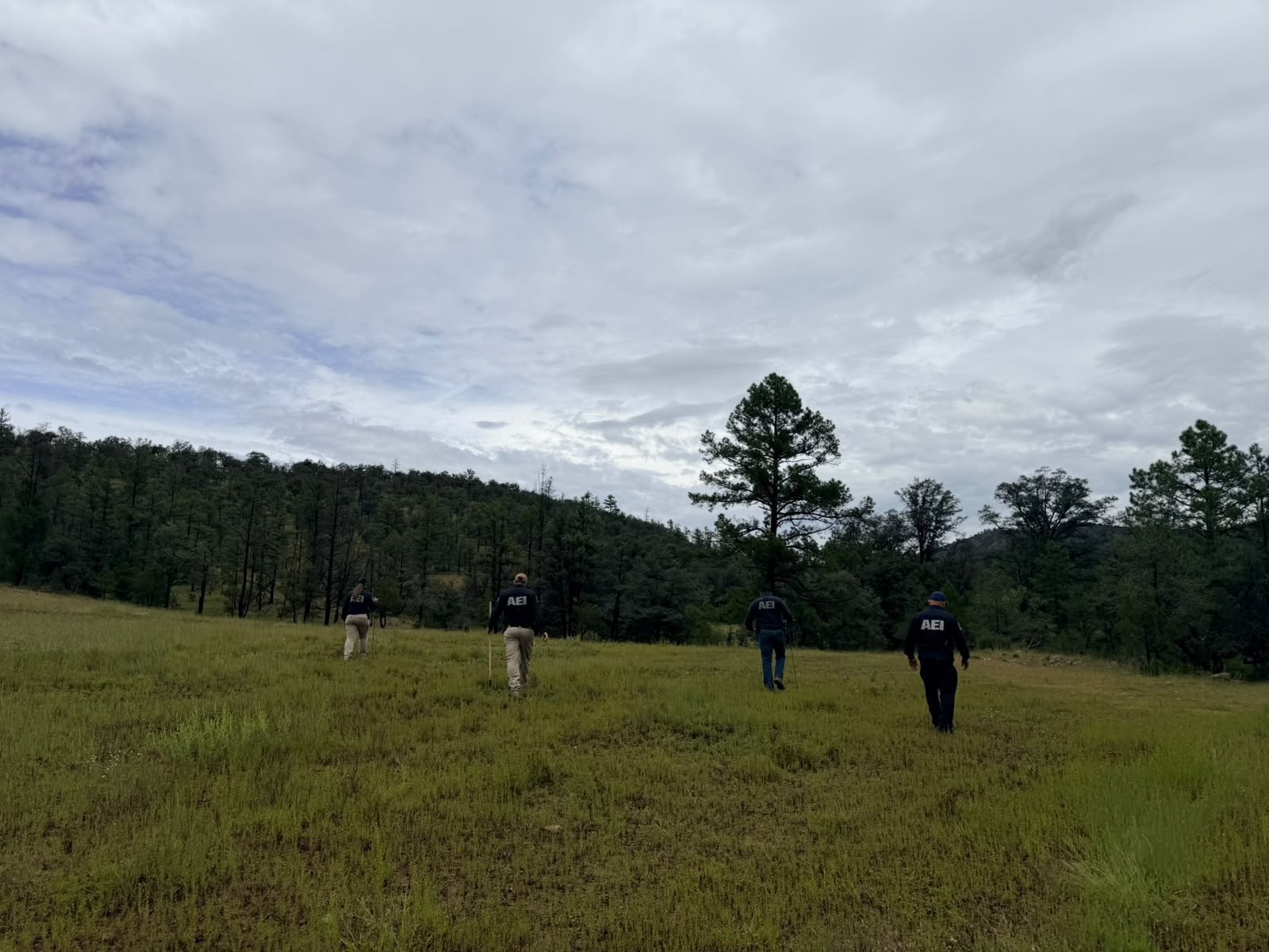 FGE realiza rastreo de búsqueda en Guerrero