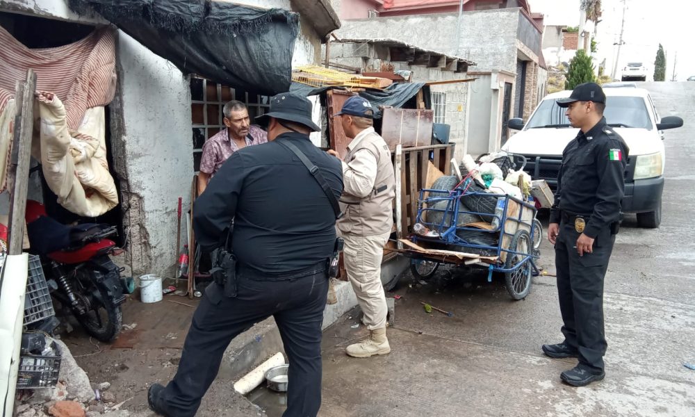 Resguardan tres cachorros en Chihuahua por presunto maltrato animal