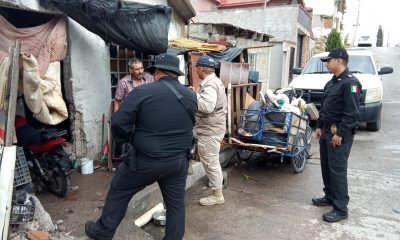Resguardan tres cachorros en Chihuahua por presunto maltrato animal
