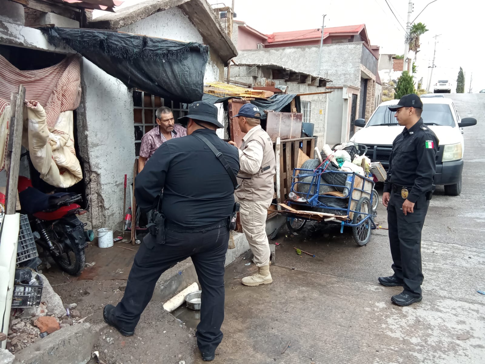 Resguardan tres cachorros en Chihuahua por presunto maltrato animal