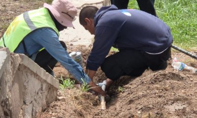 Rehabilitación del sistema de riego en el parque Santa María avanza al 50%