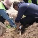 Rehabilitación del sistema de riego en el parque Santa María avanza al 50%